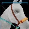 Midsummer Blues bosal