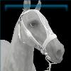 White And Silver Baroque Bridle