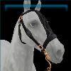 Black And Brass Baroque Bridle