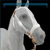 White And Brass Baroque Bridle