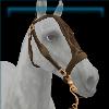 Brown And Brass Baroque Bridle