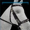 Subtly Sublime Dressage bridle