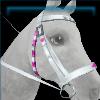 Retro Birthday Bridle