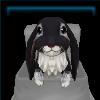 Birthday Bunny