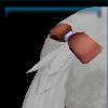 Tail ribbon