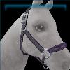 Dolly Western Halter