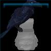 Duskwing Raven