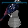 Nightwing Raven