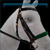 Bridle of the Accused