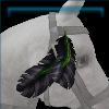 Mane feather of the Accused