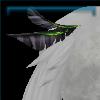 Tail feather of the Accused