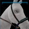 Duskwing bosal