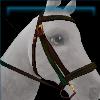 Pepita Pixie bridle