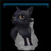 Onyx Arctic Fox