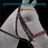 Toasty Bonfire Bridle