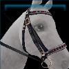 Crimson Tidings Bridle