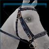 Indigo Tidings Bridle