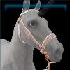 Unicorn night bridle