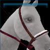 Maroon Homestead Bosal