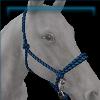 Blue rope halter