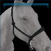 Black rope halter
