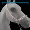 Show Halter in White and Silver