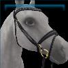 English Bridle in Black and Gold