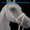 English Bridle in White and Gold