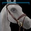 English Bridle in dark Brown and Gold