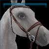 English Bridle in Dark Brown and Silver