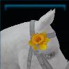 Daffodil flower decoration