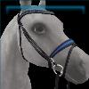Blue Belle Bridle
