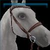 Walnut Summer Camp Bridle