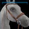 Hazelnut Summer Camp Bridle