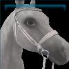 Porcelain Summer Camp Bridle
