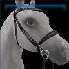 Twilight Summer Camp Bridle