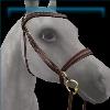 Golden Walnut Summer Camp Bridle