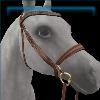 Golden Hazelnut Summer Camp Bridle