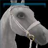 Golden Porcelain Summer Camp Bridle