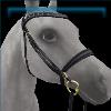 Golden Twilight Summer Camp Bridle