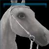 Porcelain Felicity Bridle
