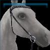 Twilight Felicity Bridle
