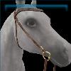 Golden Hazelnut Felicity Bridle