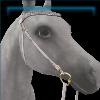 Golden Porcelain Felicity Bridle