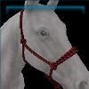 Red Reinless Rope Halter
