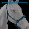 Blue Reinless Rope Halter