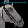 Golden Twilight Drop Noseband Bridle