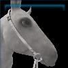 Porcelain Silversong Bridle