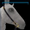 Golden Twilight Silversong Bridle