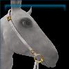 Golden Porcelain Silversong Bridle